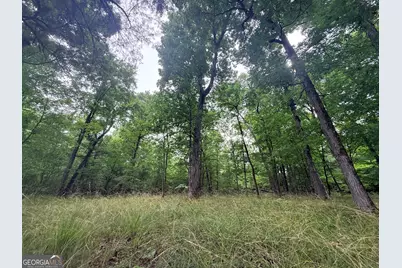 1 Bethesda Church Road, Lexington, GA 30648 - Photo 2
