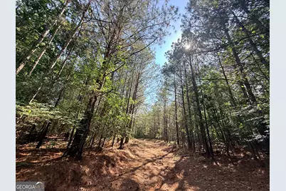 2 Bethesda Church Road, Lexington, GA 30648 - Photo 30