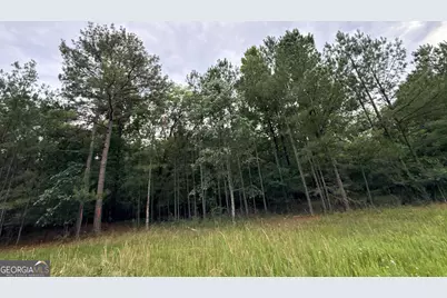 2 Bethesda Church Road, Lexington, GA 30648 - Photo 6