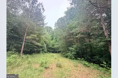 3 Bethesda Church Road, Lexington, GA 30648 - Photo 26