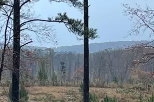 4374 River Rd, Manchester, GA 31816 - Photo 28