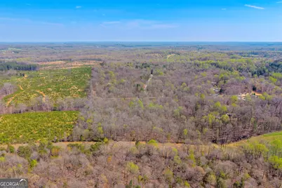 0 Rolling Rock Road, Carnesville, GA 30521 - Photo 2