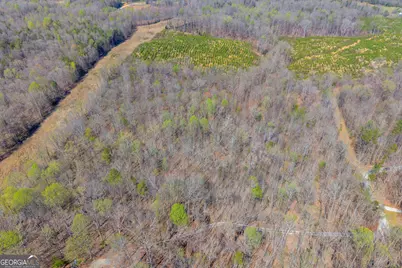 0 Rolling Rock Road, Carnesville, GA 30521 - Photo 4