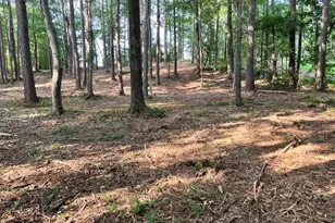 0 Winterberry Ln, Rome, GA 30161 - Photo 1