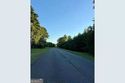 0 Friendship Road, Sylvania, GA 30467 - Photo 4