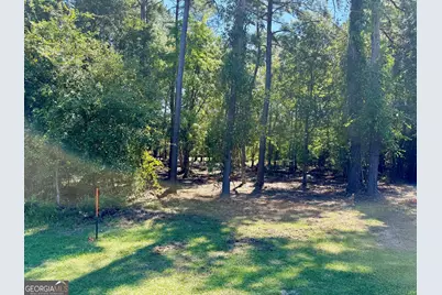 0 Friendship Road, Sylvania, GA 30467 - Photo 1