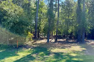 0 Friendship Rd, Sylvania, GA 30467 - Photo 1