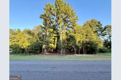 0 Friendship Road, Sylvania, GA 30467 - Photo 2