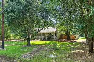 305 Old Ga Hwy 3 N, Baconton, GA 31716 - Photo 2