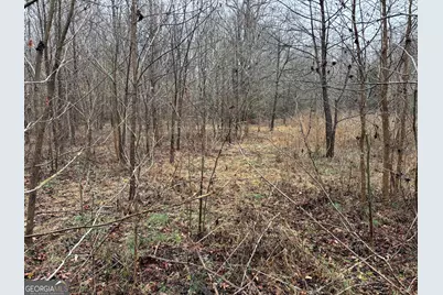481 Lebanon Church Road, Jefferson, GA 30549 - Photo 22