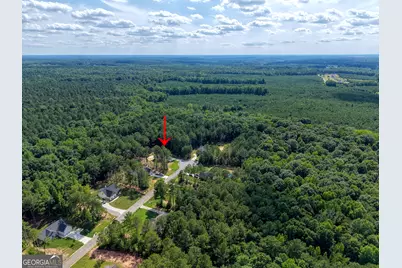 533 Evelyn Drive, Greenville, GA 30222 - Photo 32