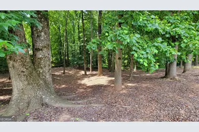 371 Summit Chase Drive, Jefferson, GA 30549 - Photo 66
