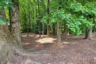 371 Summit Chase Dr, Jefferson, GA 30549 - Photo 66