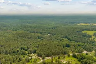 0 Capps Ferry Rd, Chattahoochee Hills, GA 30268 - Photo 2
