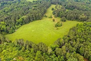 0 Capps Ferry Rd, Chattahoochee Hills, GA 30268 - Photo 4