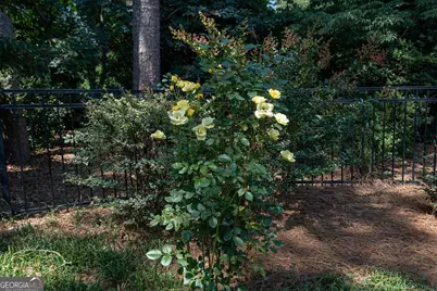 1071 Meriweather Drive, Watkinsville, GA 30677 - Photo 58