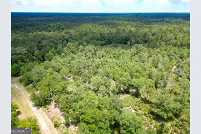 Lot 8 Faithland Drive, Hinesville, GA 31313 - Photo 8