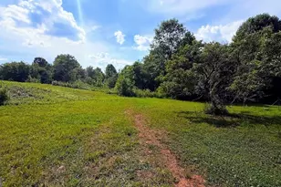 380 Nix Rd, Bremen, GA 30110 - Photo 1