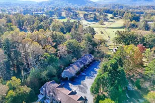 103 Birdie Ln, Blairsville, GA 30512 - Photo 44