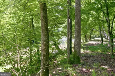 300 Whispering Waters, Demorest, GA 30535 - Photo 14