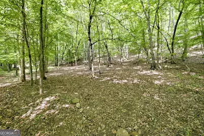 300 Whispering Waters, Demorest, GA 30535 - Photo 16