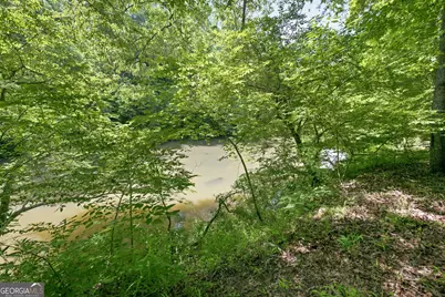 300 Whispering Waters, Demorest, GA 30535 - Photo 10
