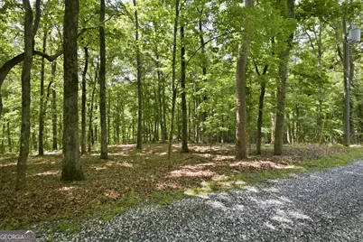 300 Whispering Waters, Demorest, GA 30535 - Photo 4