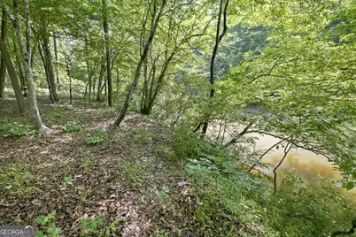 300 Whispering Waters, Demorest, GA 30535 - Photo 12