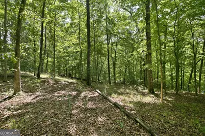 300 Whispering Waters, Demorest, GA 30535 - Photo 6