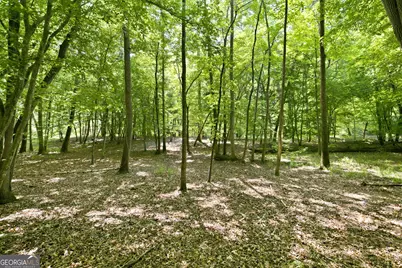 300 Whispering Waters, Demorest, GA 30535 - Photo 8
