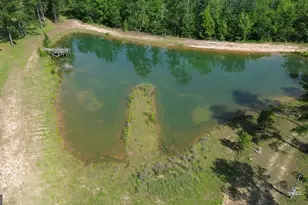 435 Canoochee Bypass, Midville, GA 30441 - Photo 68