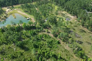 435 Canoochee Bypass, Midville, GA 30441 - Photo 62