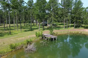 435 Canoochee Bypass, Midville, GA 30441 - Photo 60