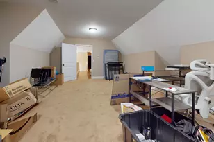 435 Canoochee Bypass, Midville, GA 30441 - Photo 38