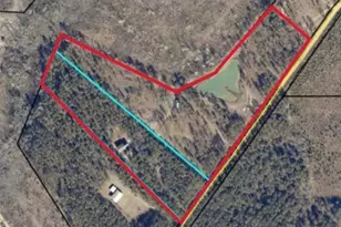 435 Canoochee Bypass, Midville, GA 30441 - Photo 2