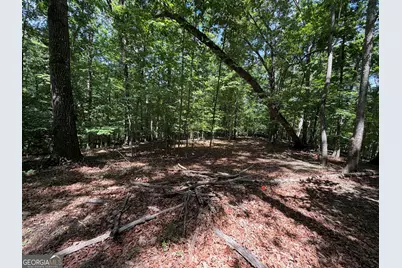 7 Ivy Hills Drive, Cleveland, GA 30528 - Photo 1