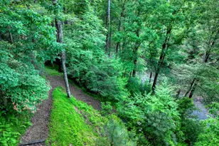550 Hillsdale Dr, Ellijay, GA 30540 - Photo 54