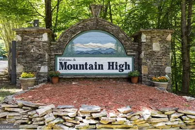 115 Mountain High Drive, Mineral Bluff, GA 30559 - Photo 58