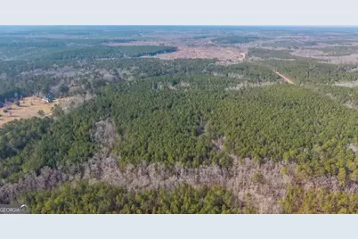 0 Saint Mary's Road #UNIT A, Crawfordville, GA 30631 - Photo 10