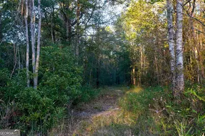 0 Old Savannah Road #TRACT 1, Millen, GA 30442 - Photo 10