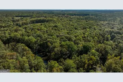 0 Old Savannah Road #TRACT 1, Millen, GA 30442 - Photo 12