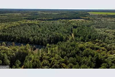 0 Old Savannah Road #TRACT 1, Millen, GA 30442 - Photo 18