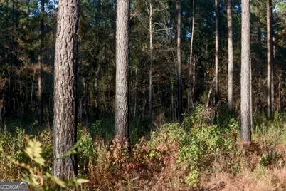 0 Old Savannah Road #TRACT 1, Millen, GA 30442 - Photo 8