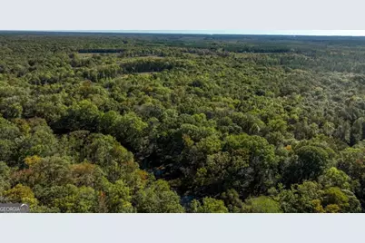 0 Scarboro Landing Road #TRACT 1, Millen, GA 30442 - Photo 12