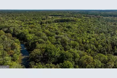0 Old Savannah Road #TRACT 1, Millen, GA 30442 - Photo 14