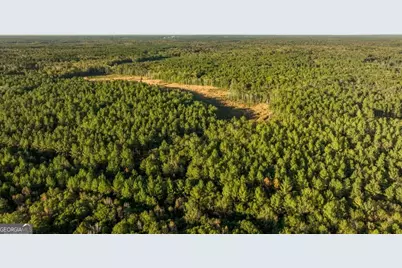 0 Old Savannah Road #TRACT 1, Millen, GA 30442 - Photo 20