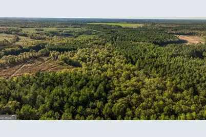 0 Scarboro Landing Road #TRACT 1, Millen, GA 30442 - Photo 18