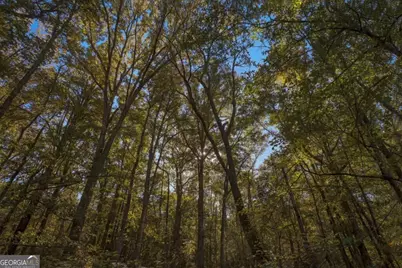 0 Scarboro Landing Road #TRACT 1, Millen, GA 30442 - Photo 2