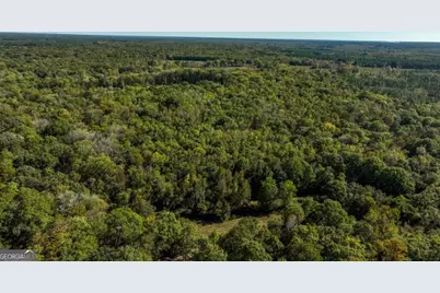 0 Scarboro Landing Road #TRACT 1, Millen, GA 30442 - Photo 14