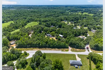 1070 Cannon Bridge Road, Demorest, GA 30535 - Photo 86